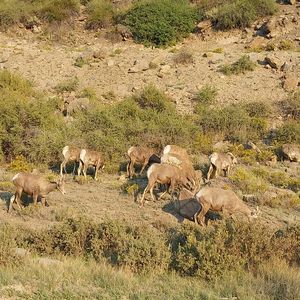 Property at 1167 Latigo Loop, Hartsel, CO
