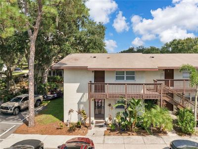 141 Fernery Rd APT B5