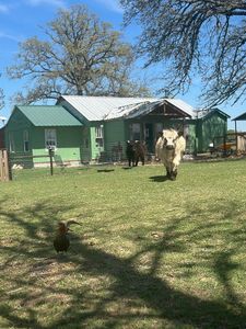 2307 County Road 3416