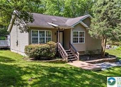 197 Broad Mountain View Dr