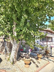 2550 E Avenue I Space 62