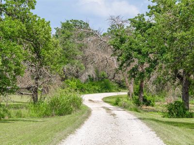 15500 County Road 417