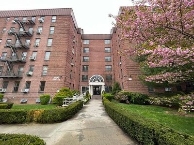 3105 Avenue S #D
