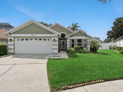 13221 WILD DUCK COURT