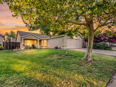 2019 Tillie Lewis Dr