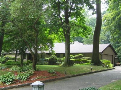 6 Pine Tree Drive
