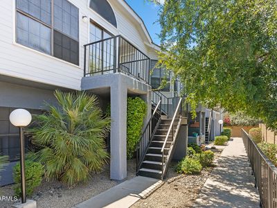 8888 N 47TH Avenue #260