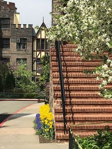 116 Pinehurst Ave APT B13
