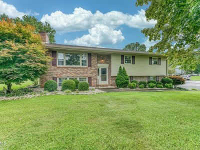 417 Trammell Rd