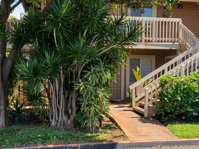 140 Uwapo Rd APT 21-101