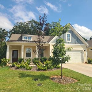121 Olive Tea Ln