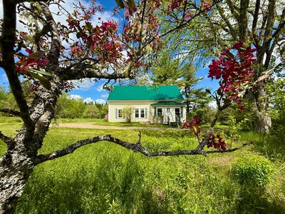 Property at 149 Old Eastport Road, Perry, ME