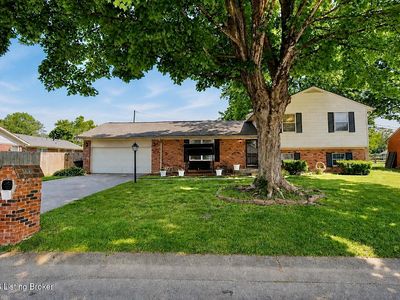 703 Dogwood Rd
