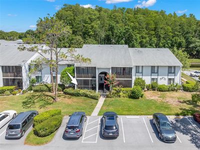 1290 Pine Ridge Cir E APT E1