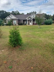 4368 County Road 203