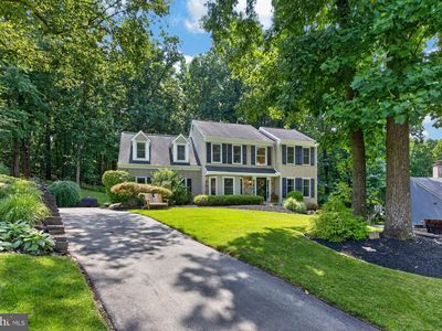 204 Buttonwood Dr