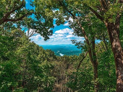 300 Sassafras Mountain Trl