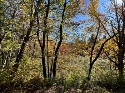 Property at 00 Boynton Road, Londonderry, VT