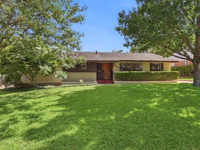 706 Peach Tree Ln