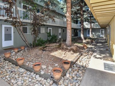 1615 Cottonwood Dr #13