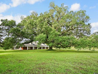 38517 Highway 74