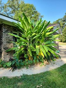 162 Chicora River Rd