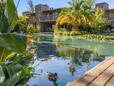 2418 Larkspur Ln APT 227