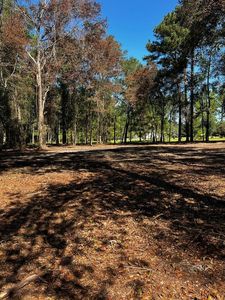 Property at 804 Glynn Willis Rd, Meigs, GA