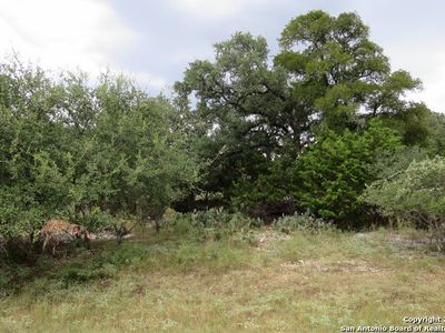 Property at 424 RITTIMANN RD LOT 293, Spring Branch, TX