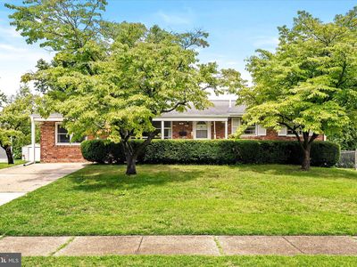 25 Black Pine Dr