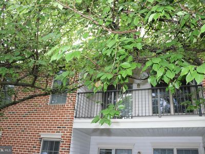 5401 Oxford Dr APT 8