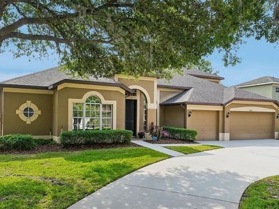 19117 Mandarin Grove Pl