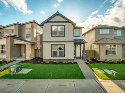 The Conifer - Petrosa Plan, Petrosa