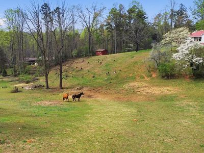 337 Town Mountain Rd