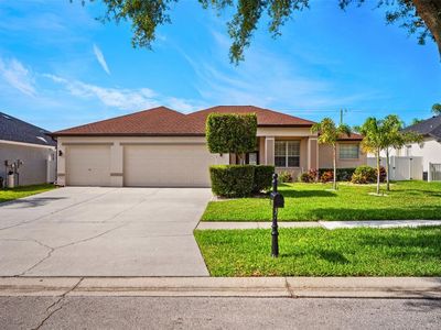 2814 Duncan Tree Cir