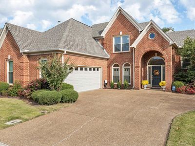 8470 Steinerbridge Ln