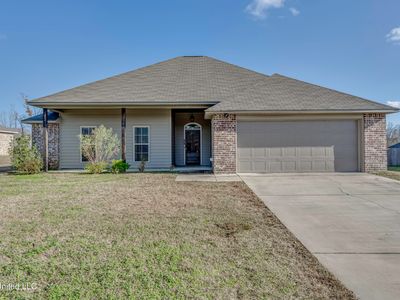 308 Bald Cypress Cv