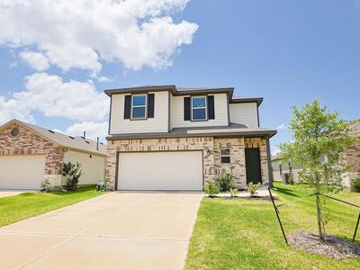 25499 Blue Mistflower Dr