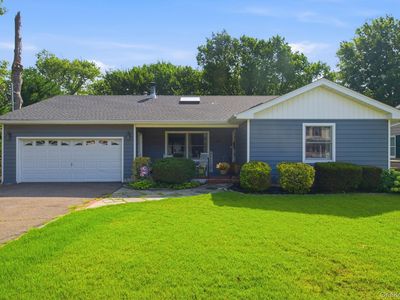 65 Jervis Avenue