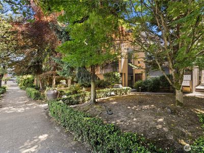 163 Etruria Street