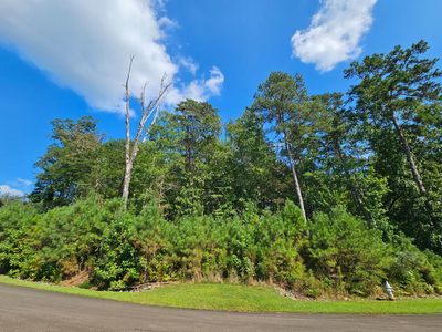 241 Carters Cove Rd #241