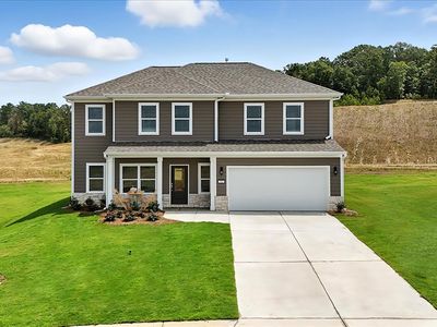 The Willow Plan, Salacoa