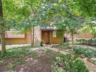 1529 Autumn Leaf Dr