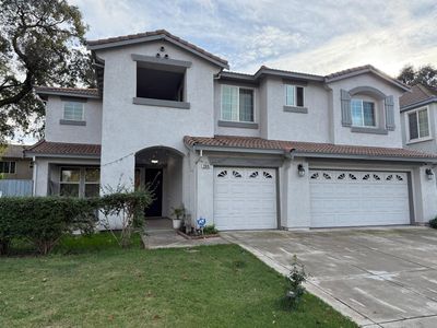 2616 Swainsons Hawk St