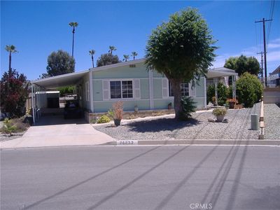 26032 Ivory Palm Dr