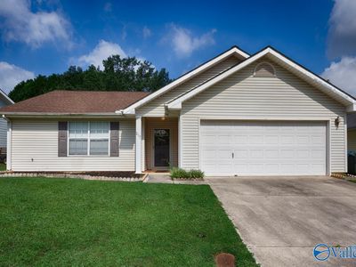 217 Iron Wood Ct