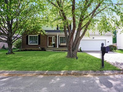 4306 Holly Tree Dr