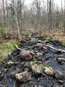 Property at Lake Ozonia Rd, Saint regis falls, NY