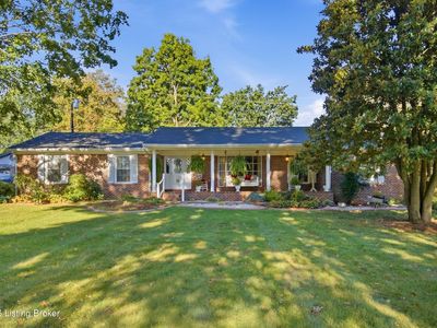 113 Carolyn Ln
