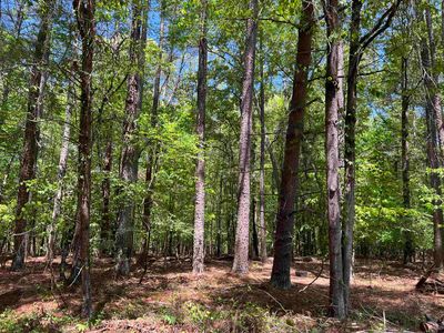 Property at 271 Cedar St, Clifton, SC